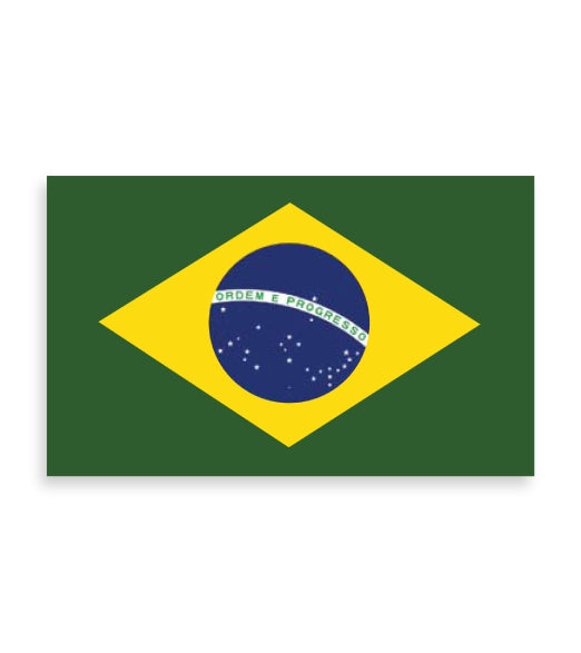 VS Brazilian Flag